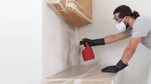 Professional Attic Mold Removal technician working in Cliffside Park, NJ
