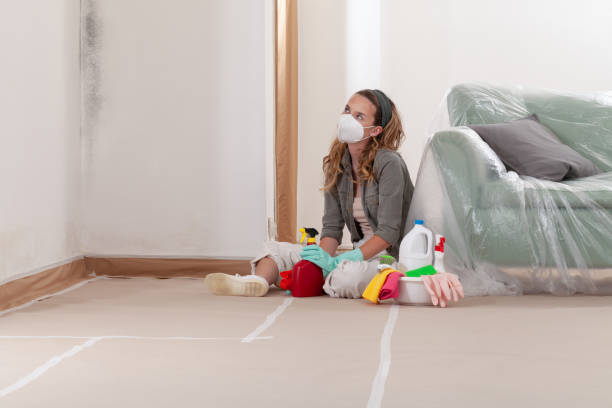 Reliable Attic Mold Removal contractor in Cliffside Park, NJ by WQB Mold Removal